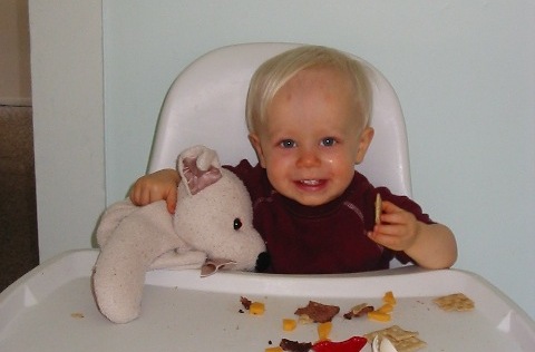 Always feed your dog a balanced breakfast